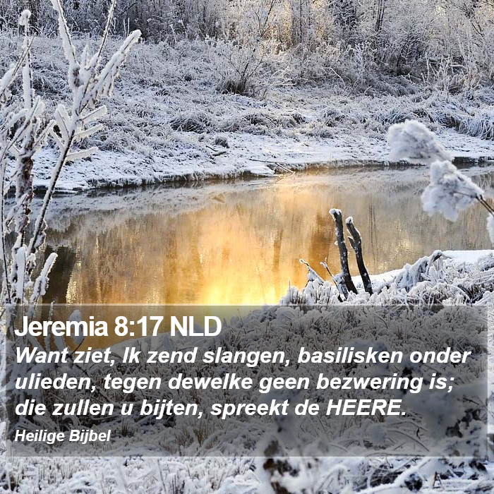Jeremia 8:17 NLD Bible Study
