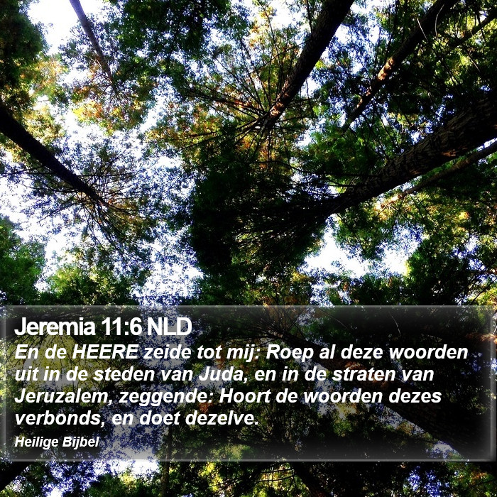 Jeremia 11:6 NLD Bible Study