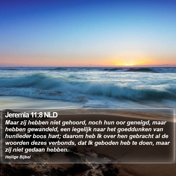 Jeremia 11:8 NLD Bible Study