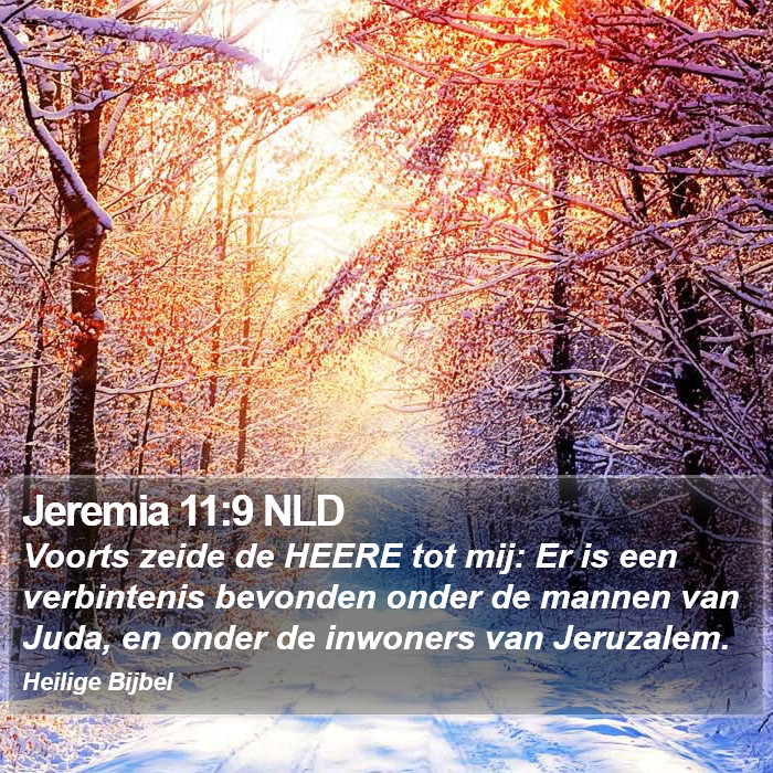 Jeremia 11:9 NLD Bible Study