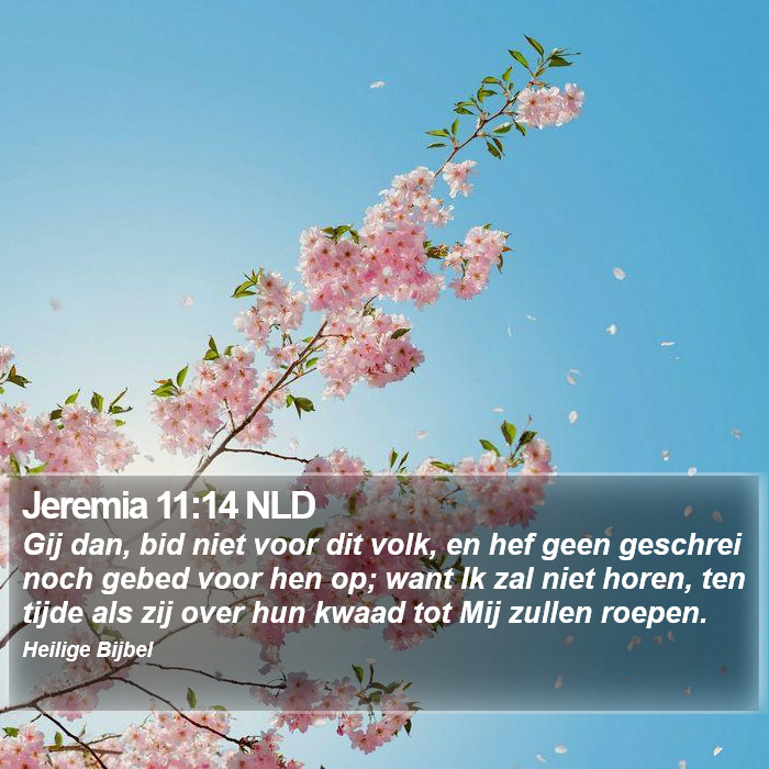 Jeremia 11:14 NLD Bible Study