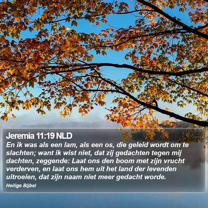 Jeremia 11:19 NLD Bible Study