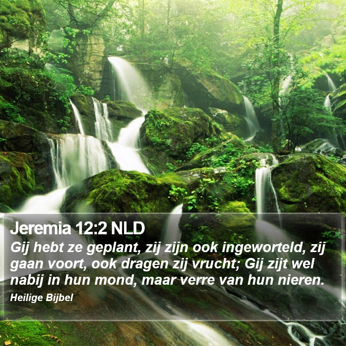 Jeremia 12:2 NLD Bible Study