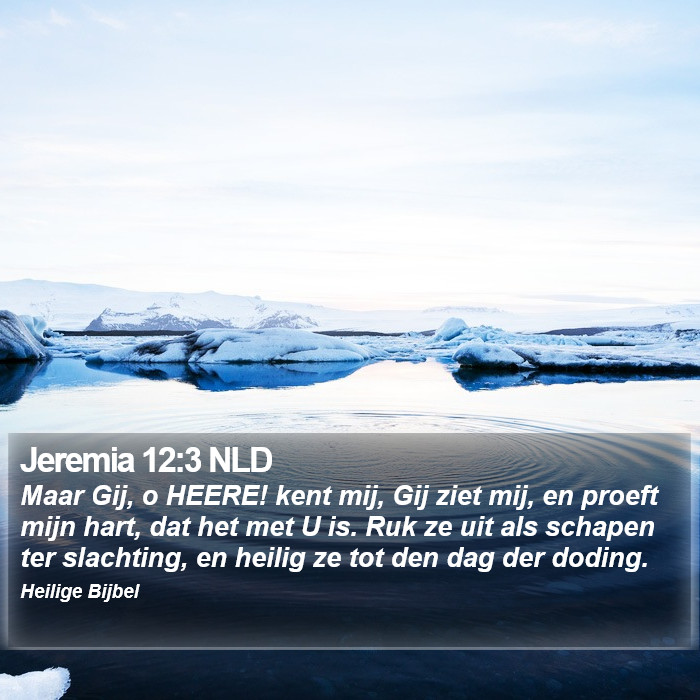 Jeremia 12:3 NLD Bible Study