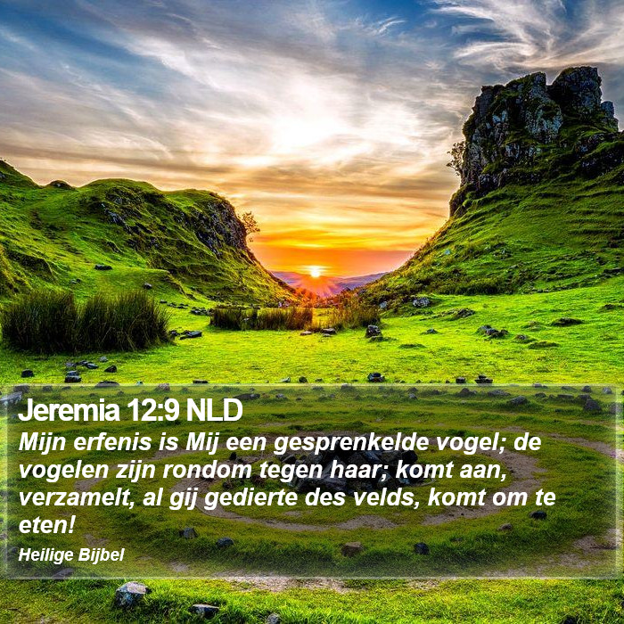 Jeremia 12:9 NLD Bible Study