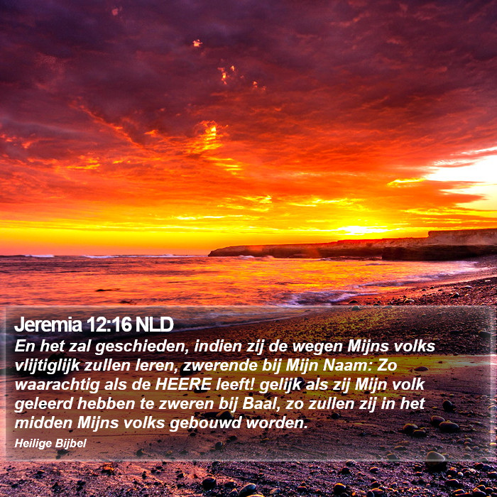 Jeremia 12:16 NLD Bible Study