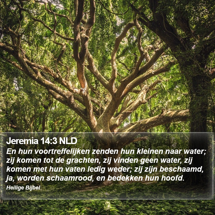 Jeremia 14:3 NLD Bible Study