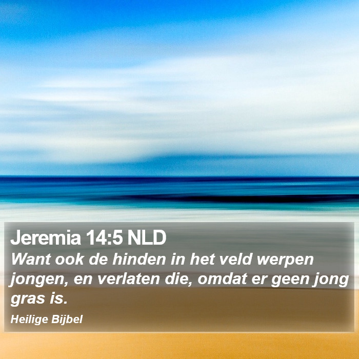 Jeremia 14:5 NLD Bible Study