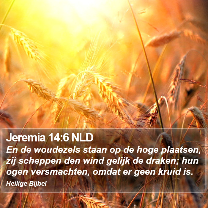 Jeremia 14:6 NLD Bible Study