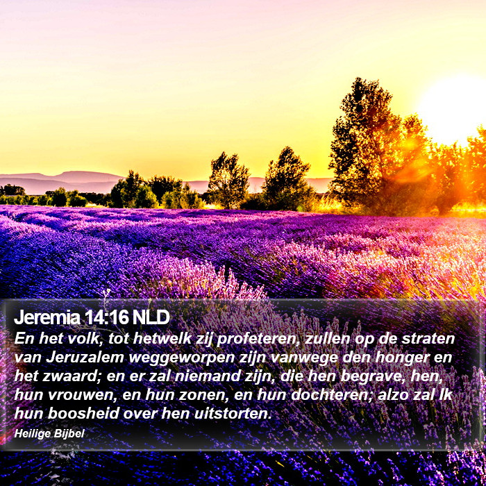 Jeremia 14:16 NLD Bible Study