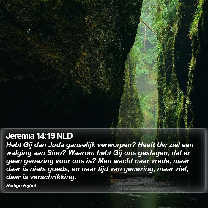 Jeremia 14:19 NLD Bible Study