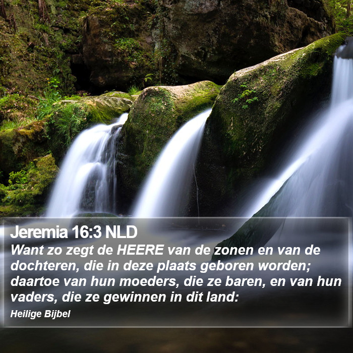 Jeremia 16:3 NLD Bible Study