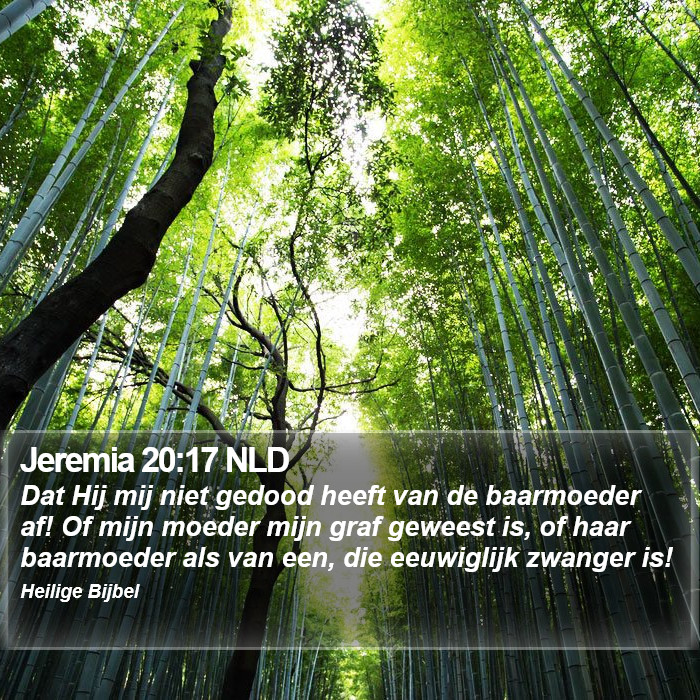 Jeremia 20:17 NLD Bible Study