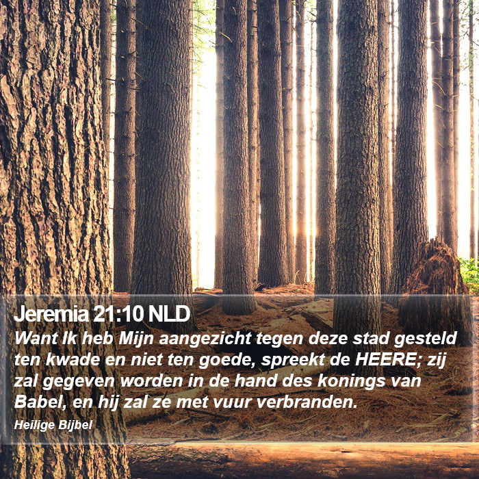 Jeremia 21:10 NLD Bible Study