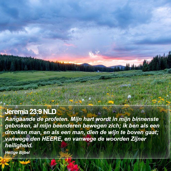 Jeremia 23:9 NLD Bible Study