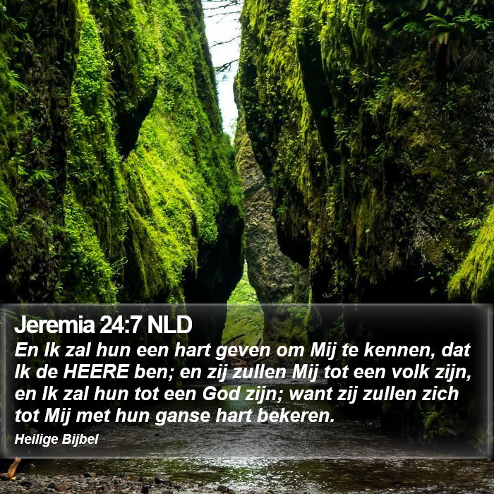 Jeremia 24:7 NLD Bible Study