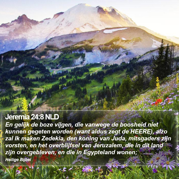 Jeremia 24:8 NLD Bible Study