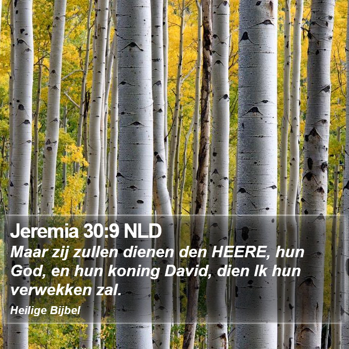 Jeremia 30:9 NLD Bible Study