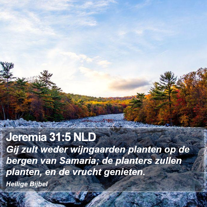 Jeremia 31:5 NLD Bible Study