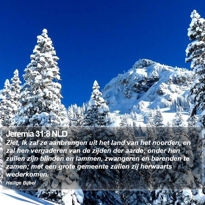 Jeremia 31:8 NLD Bible Study