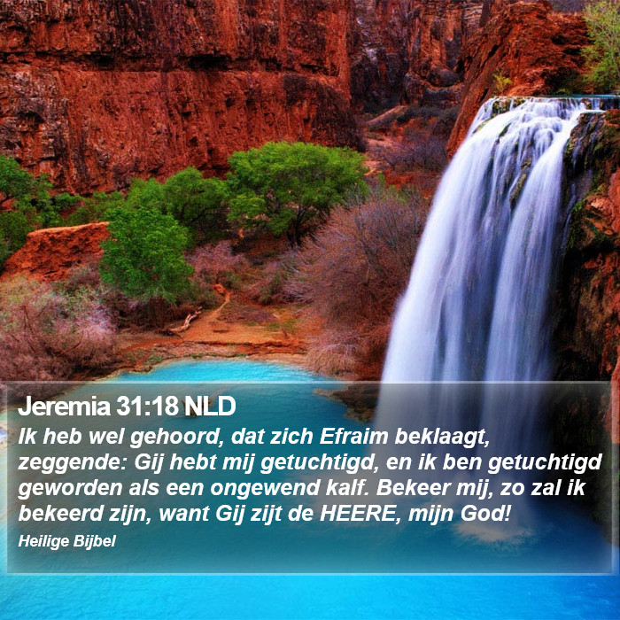 Jeremia 31:18 NLD Bible Study