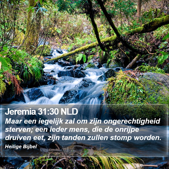 Jeremia 31:30 NLD Bible Study