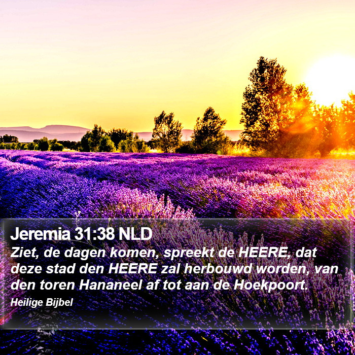 Jeremia 31:38 NLD Bible Study
