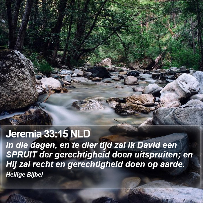 Jeremia 33:15 NLD Bible Study