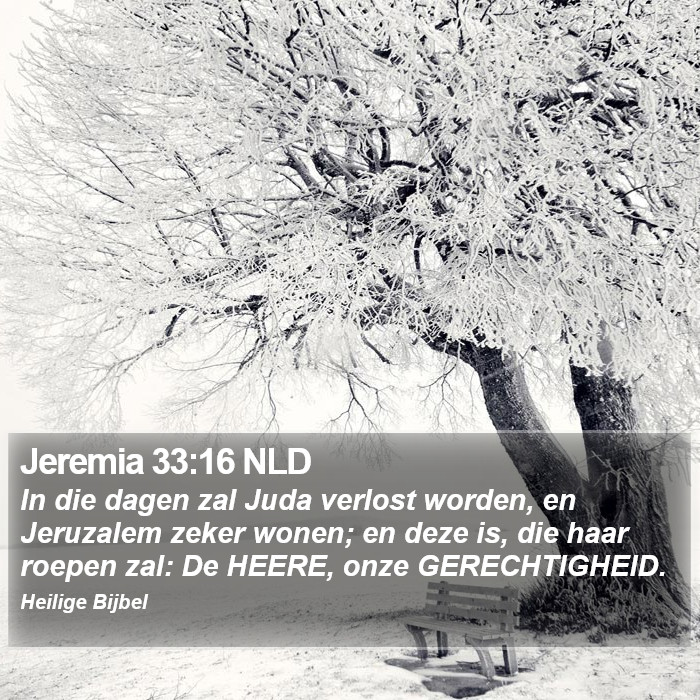 Jeremia 33:16 NLD Bible Study