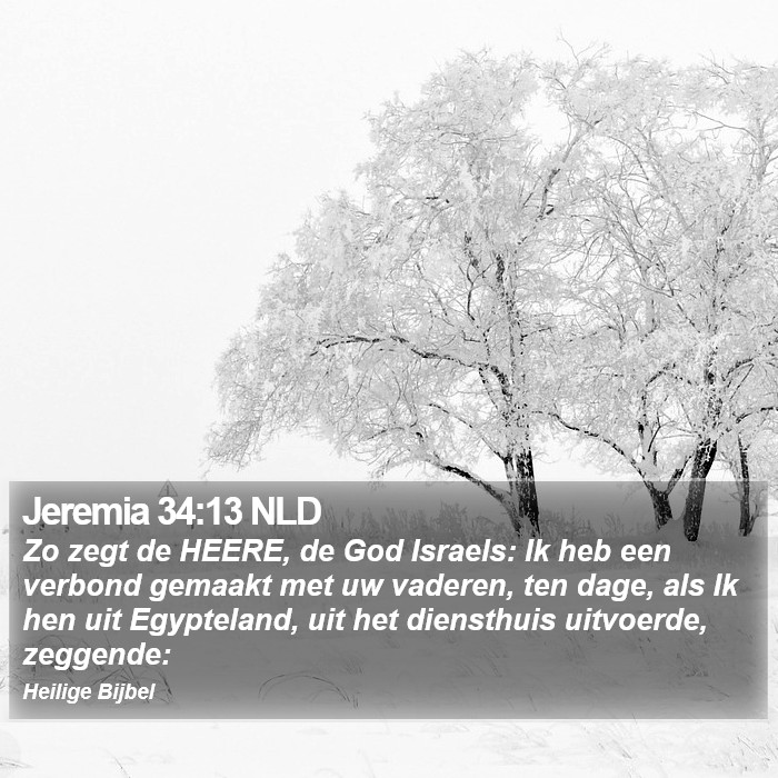 Jeremia 34:13 NLD Bible Study