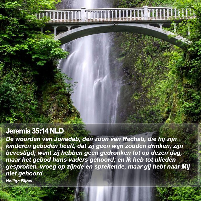 Jeremia 35:14 NLD Bible Study
