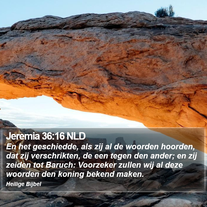 Jeremia 36:16 NLD Bible Study