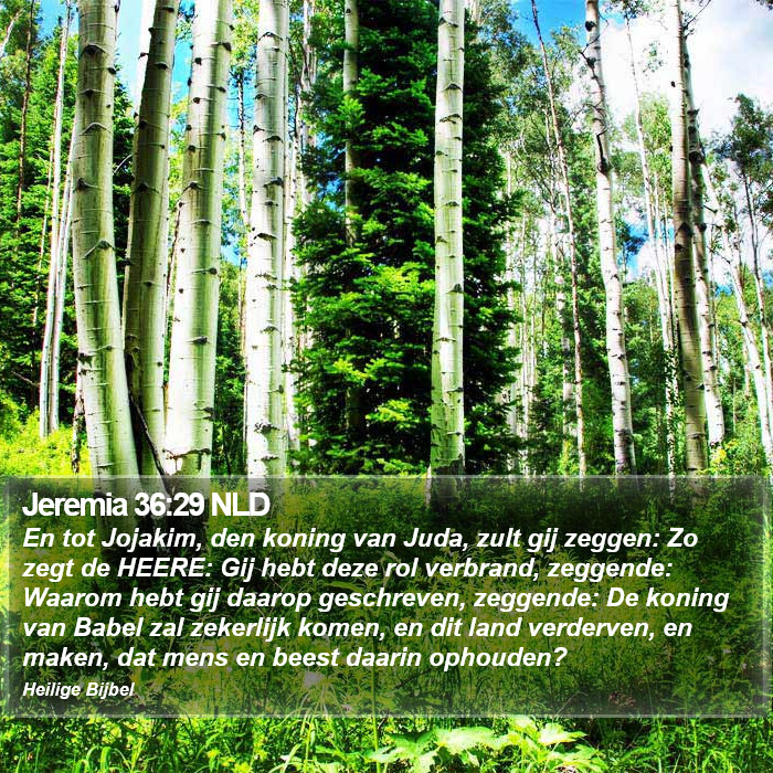 Jeremia 36:29 NLD Bible Study