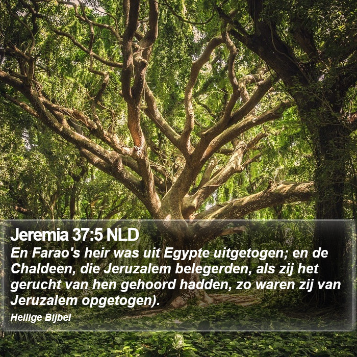 Jeremia 37:5 NLD Bible Study