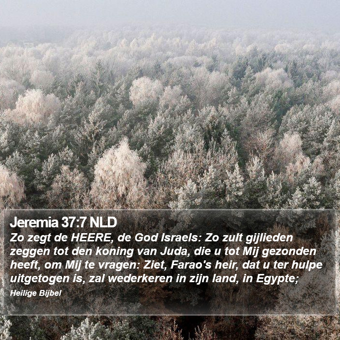 Jeremia 37:7 NLD Bible Study