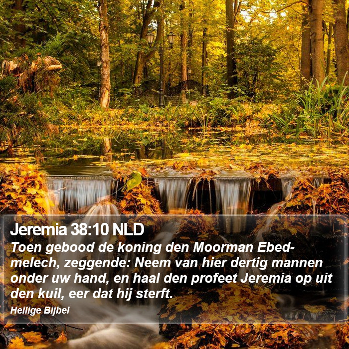 Jeremia 38:10 NLD Bible Study