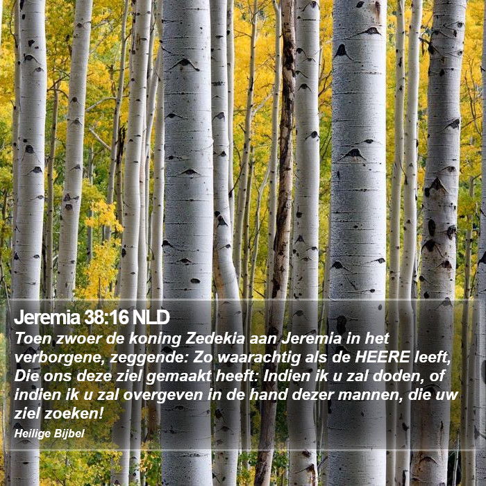 Jeremia 38:16 NLD Bible Study