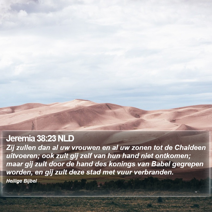Jeremia 38:23 NLD Bible Study