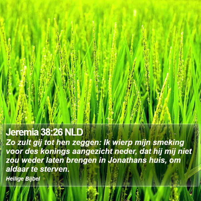 Jeremia 38:26 NLD Bible Study