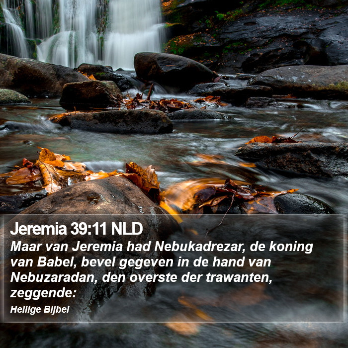 Jeremia 39:11 NLD Bible Study