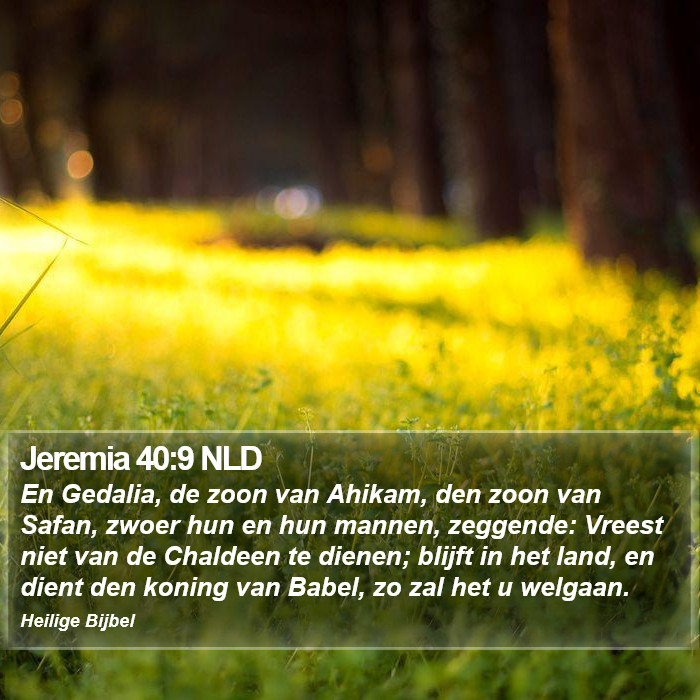 Jeremia 40:9 NLD Bible Study