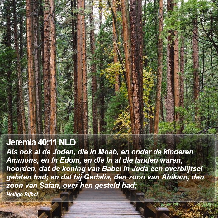 Jeremia 40:11 NLD Bible Study