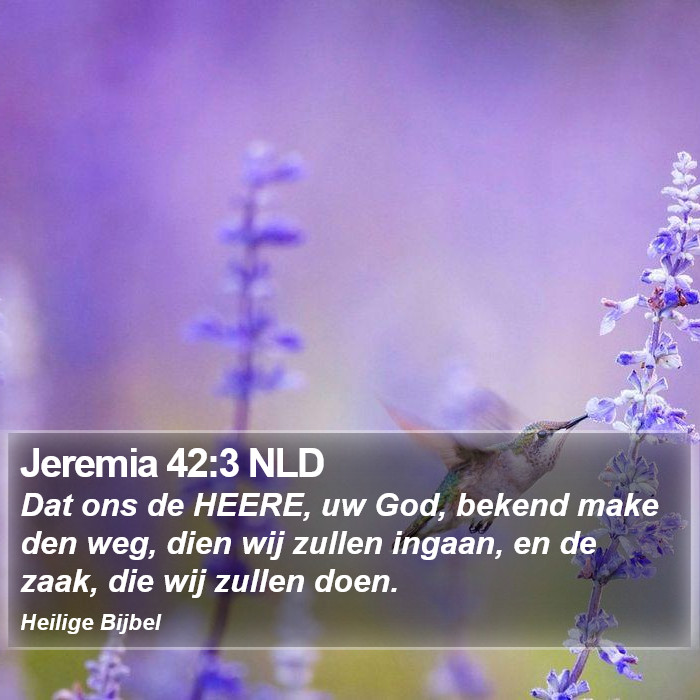 Jeremia 42:3 NLD Bible Study