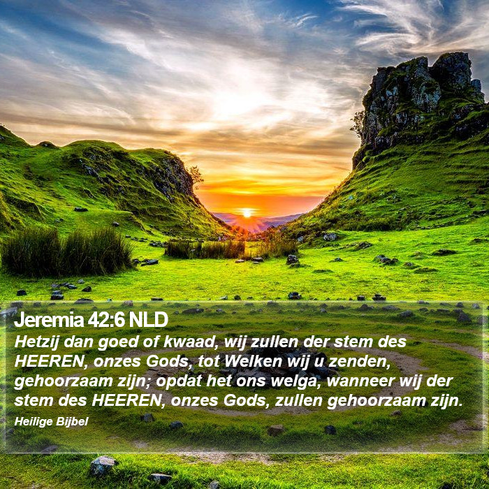 Jeremia 42:6 NLD Bible Study