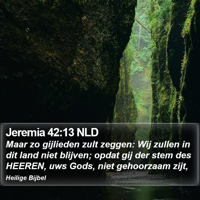 Jeremia 42:13 NLD Bible Study