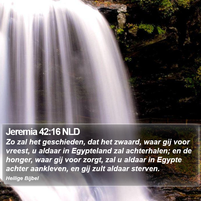 Jeremia 42:16 NLD Bible Study