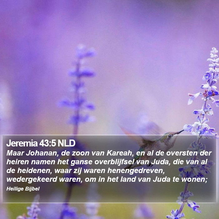 Jeremia 43:5 NLD Bible Study
