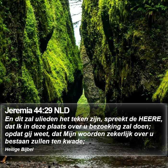 Jeremia 44:29 NLD Bible Study