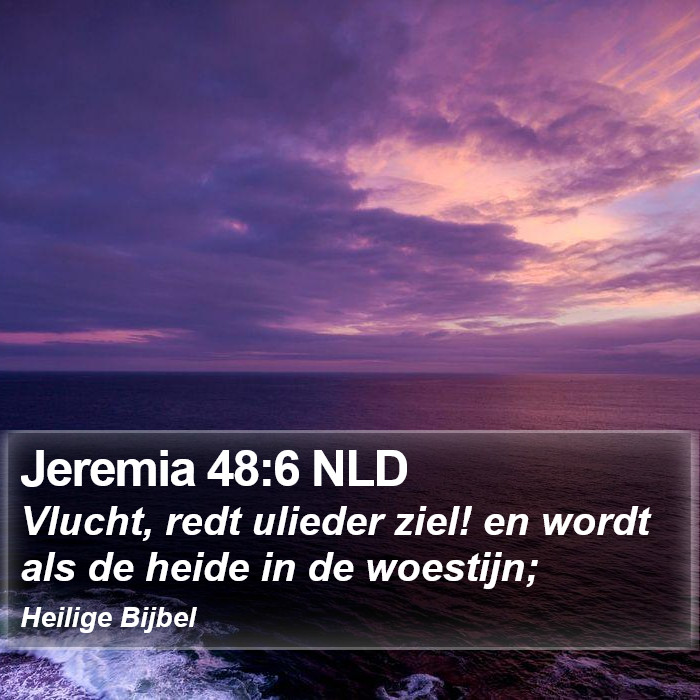 Jeremia 48:6 NLD Bible Study