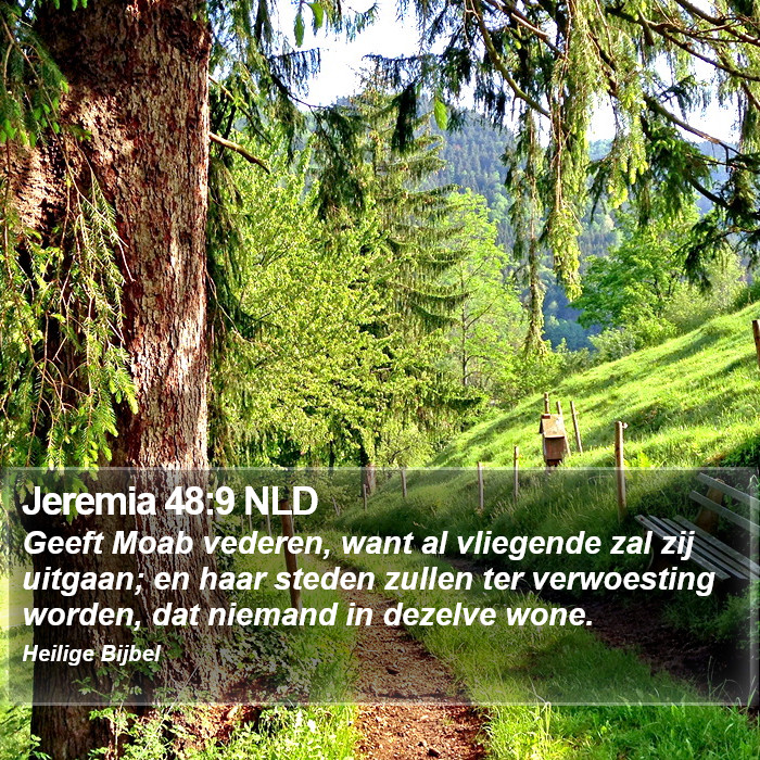 Jeremia 48:9 NLD Bible Study